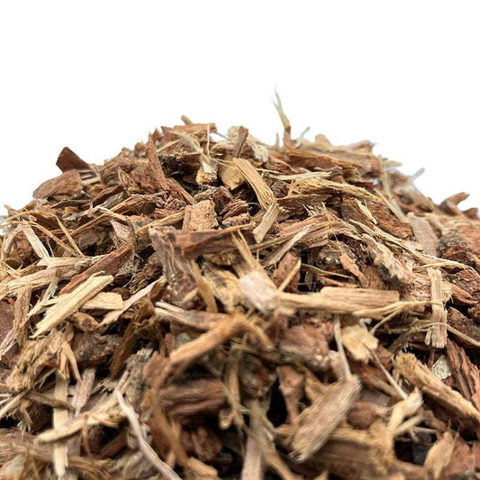 Eichenrinde Detail – pflanzliches Färbematerial