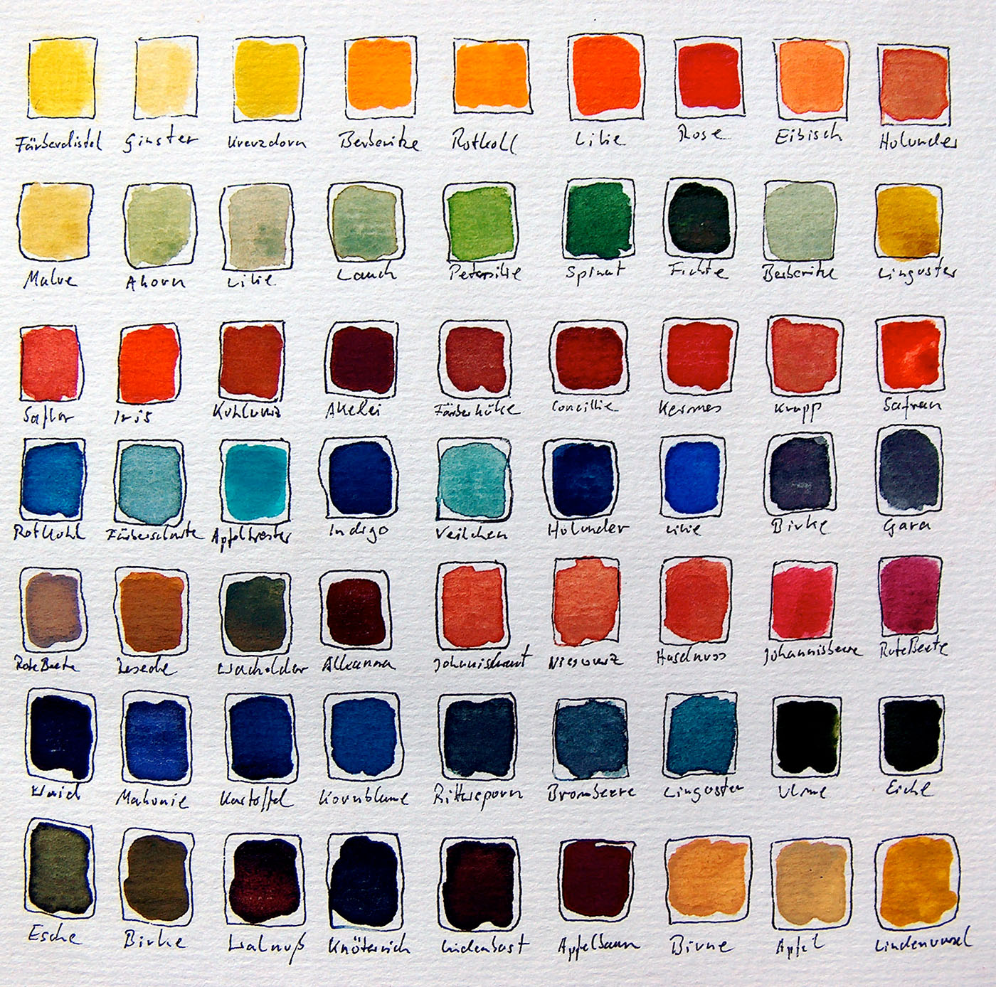 Geschenkgutschein für Pflanzenfarben und Naturmaterialien