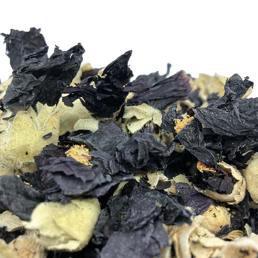 Stockrose schwarz für bläuliche und graue Farbtöne