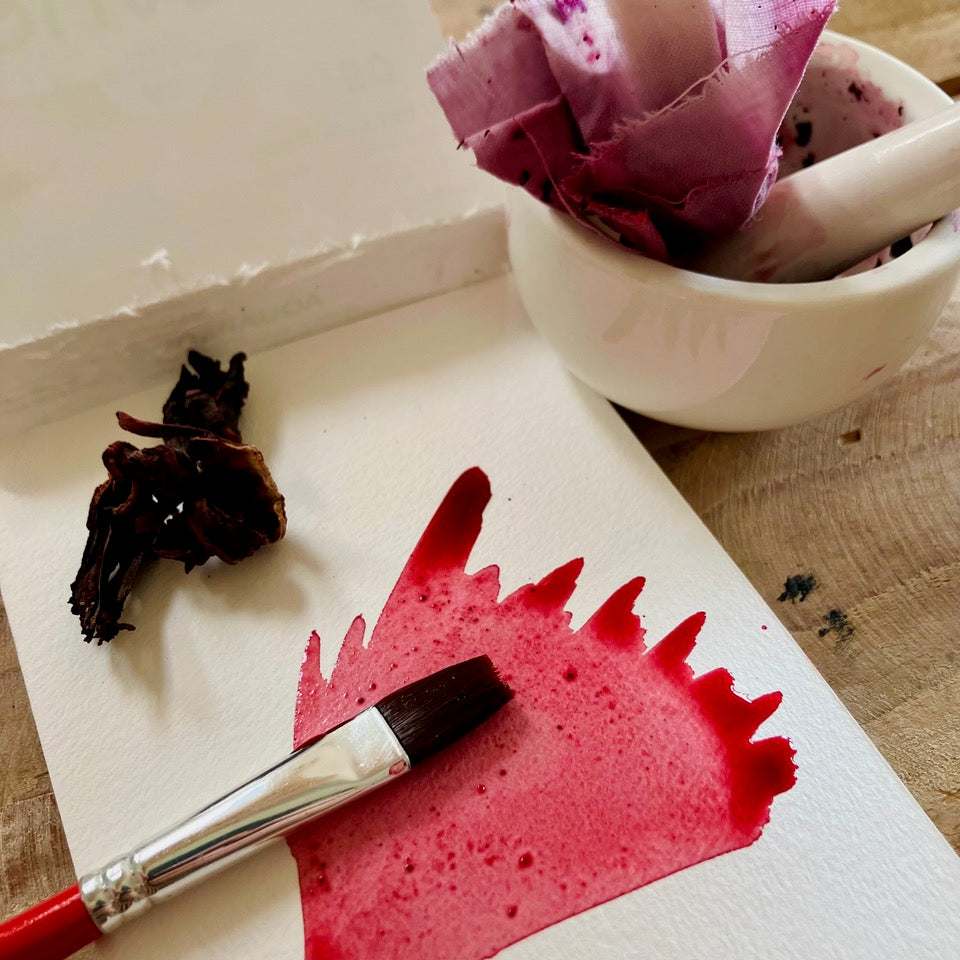Aquarellblock bemalt mit Pflanzenfarbe aus Hibiskusblüten