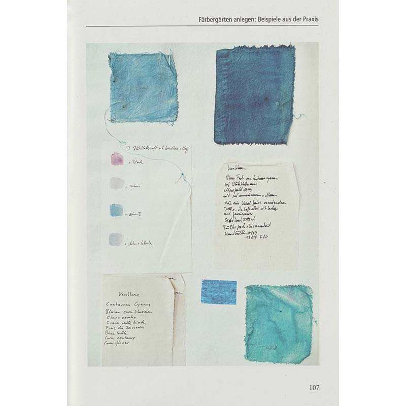 Farbstark sevengardens 176 Seiten mit Praxistipps