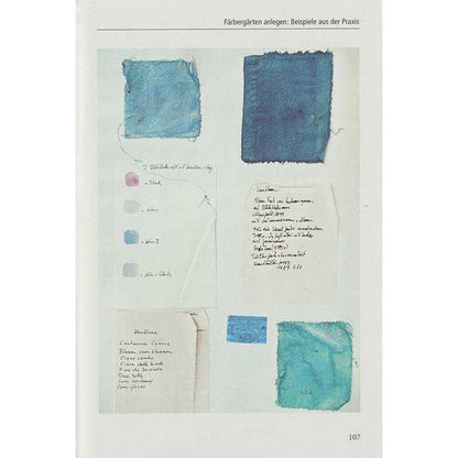 Farbstark sevengardens 176 Seiten mit Praxistipps