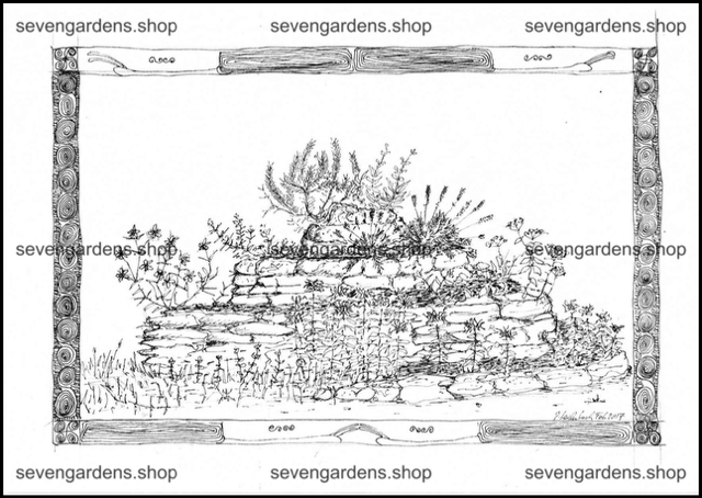 Malvorlage die Kräuterspirale als Färbergarten