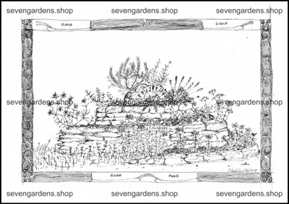 Malvorlage die Kräuterspirale als Färbergarten