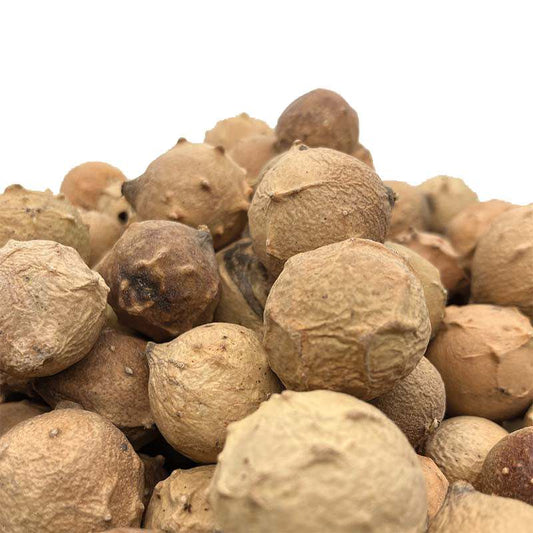 Galläpfel mit hohem Tanningehalt für Pflanzenfarben