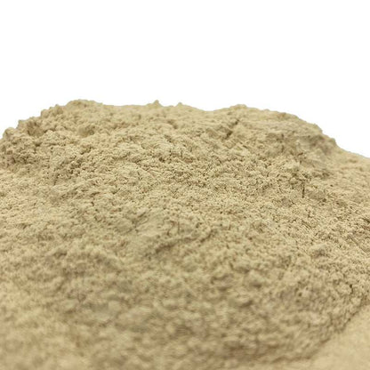 Galläpfel vegan traditionell für Färberei und Malerei