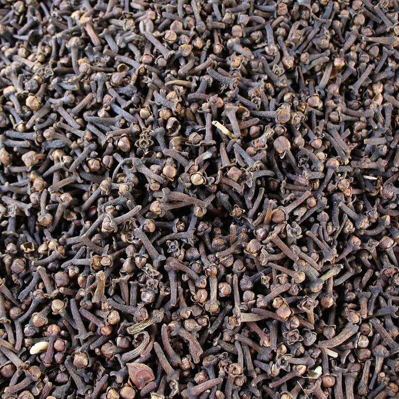 Getrocknete Nelkenblüten – Quelle für Nelkenöl zur Verwendung mit Pflanzenfarbe
