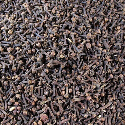 Getrocknete Nelkenblüten – Quelle für Nelkenöl zur Verwendung mit Pflanzenfarbe