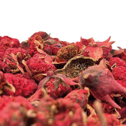 Granatapfel Blüten ganz