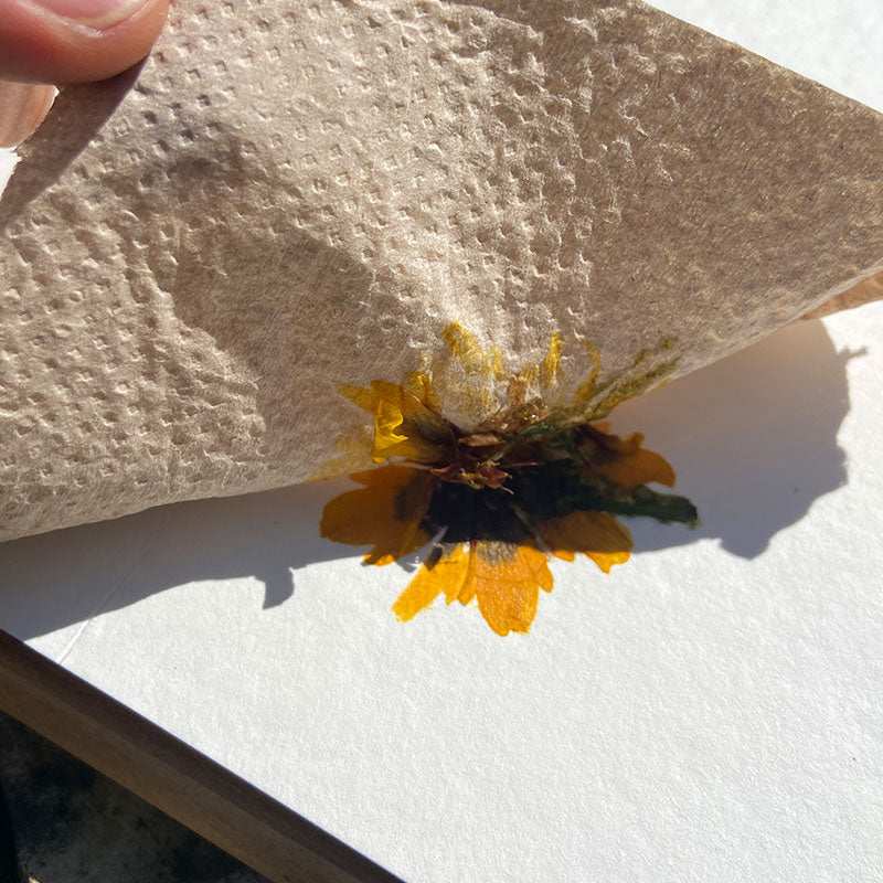 sevengardens® Hammered Leaves Einzelset zum Übertragen von Blüten und Blättern