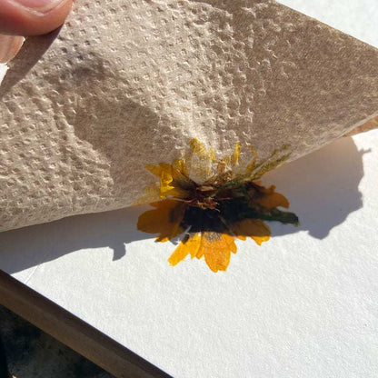 sevengardens® Hammered Leaves Einzelset zum Übertragen von Blüten und Blättern