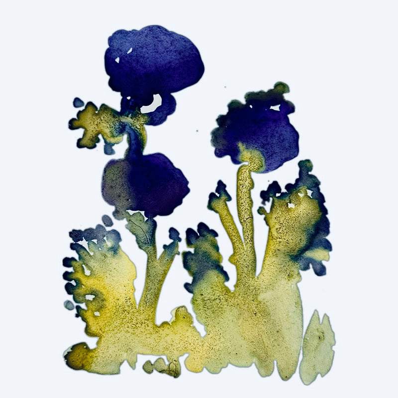 Infinity Steinpapier Anwendungsbeispiel – kreatives Gestalten mit pflanzlichen Farben