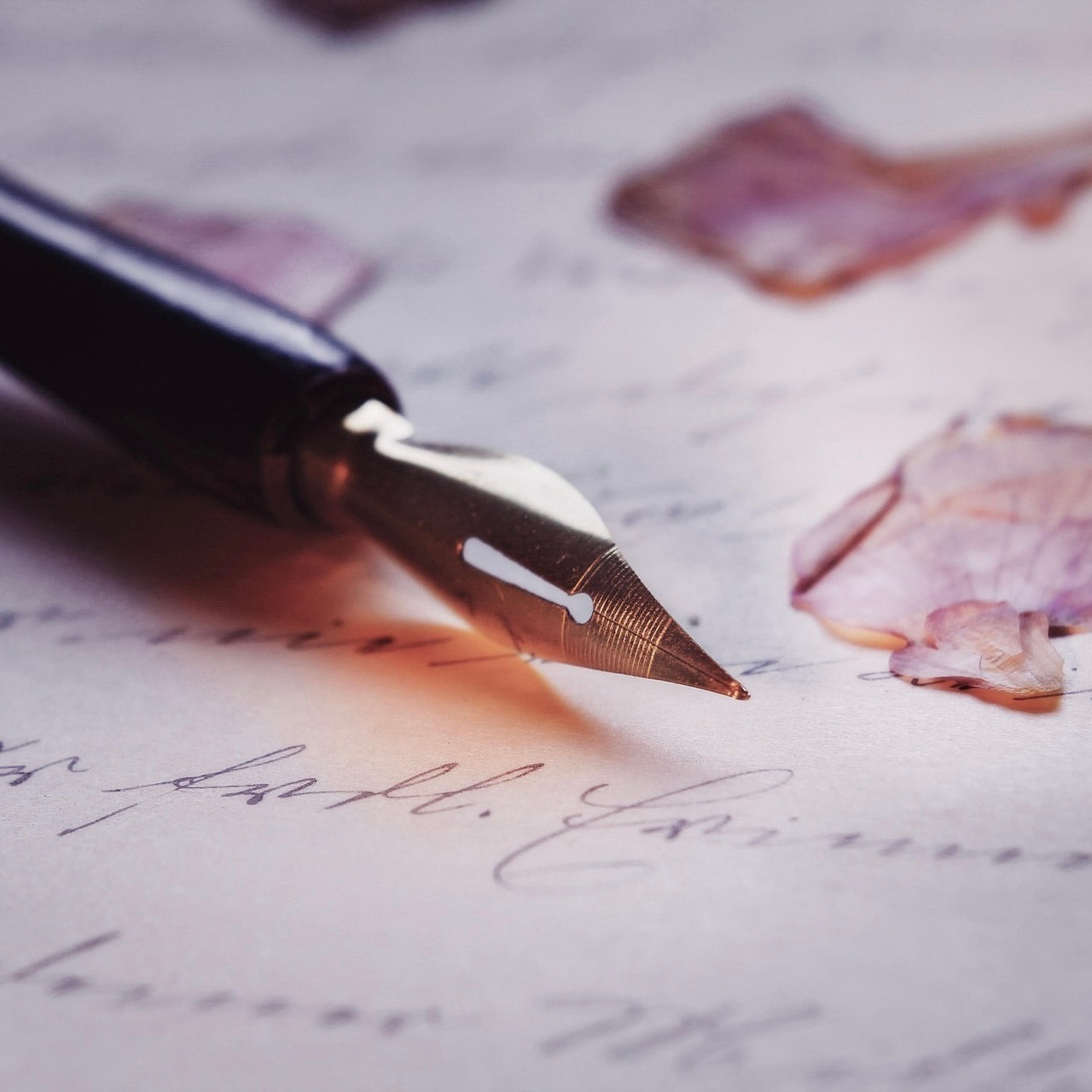 Kontaktinformationen und Kontaktformular