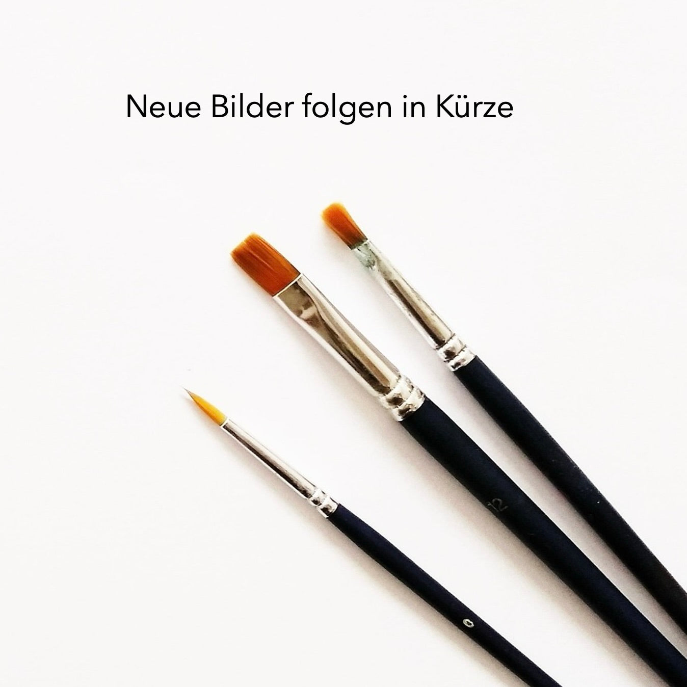 Bild folgt in Kürze