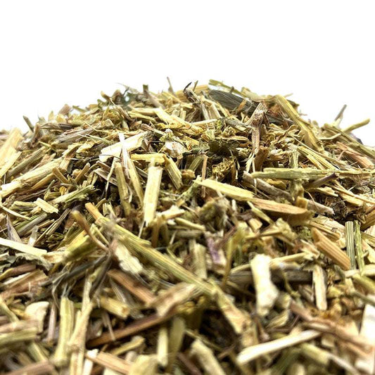 Färber Resede mit Luteolin Farbstoff als historische Färbepflanze