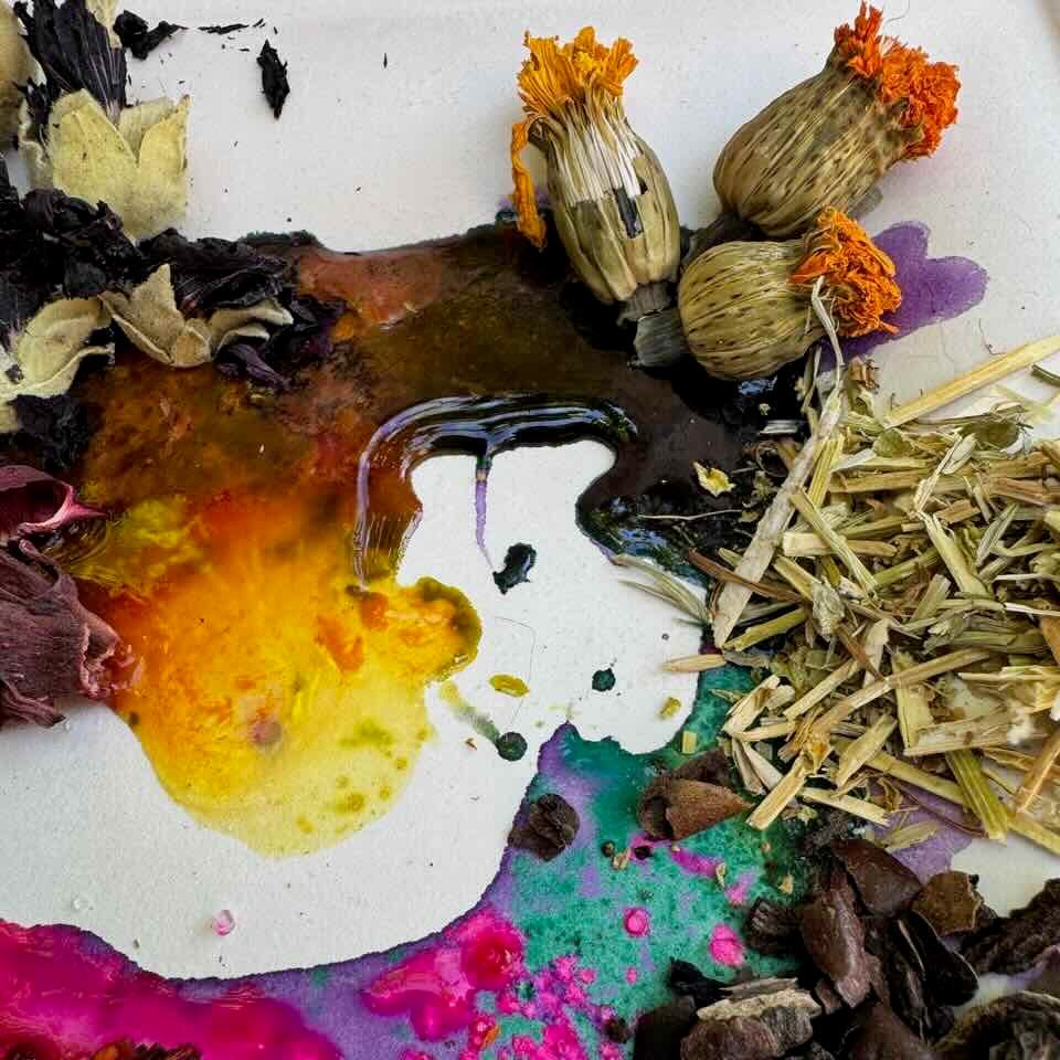 Färberpflanzen und Pflanzensaft aus dem sevengardens® Starter Set