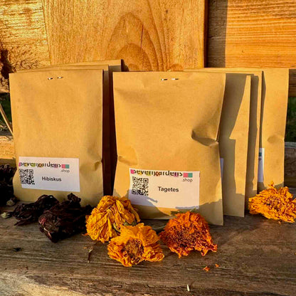 7 getrocknete Pflanzen für natürliche Farben