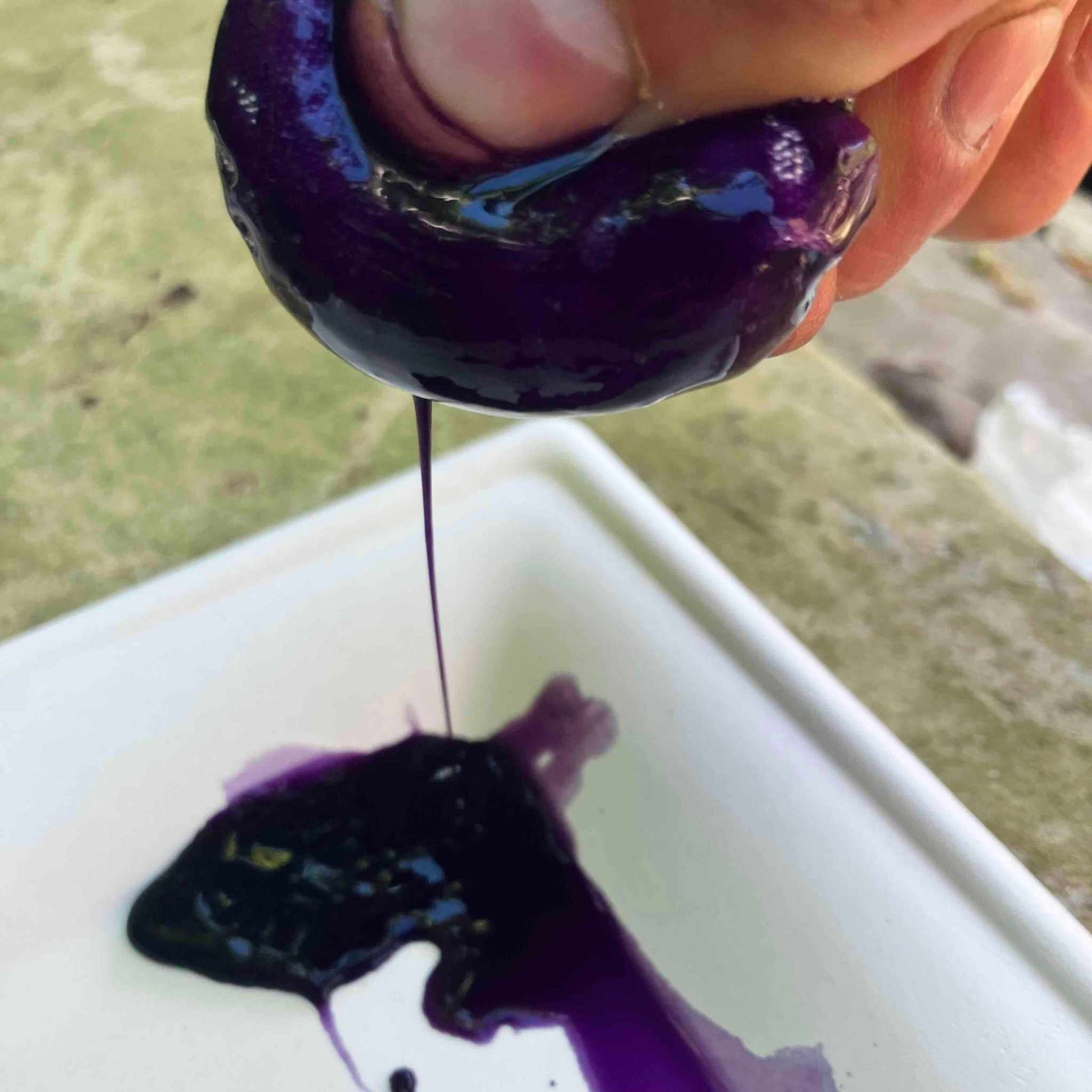 Pflanzenfarben herstellen mit dem sevengardens® Starter Set