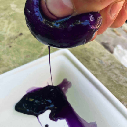 Pflanzenfarben herstellen mit dem sevengardens® Starter Set