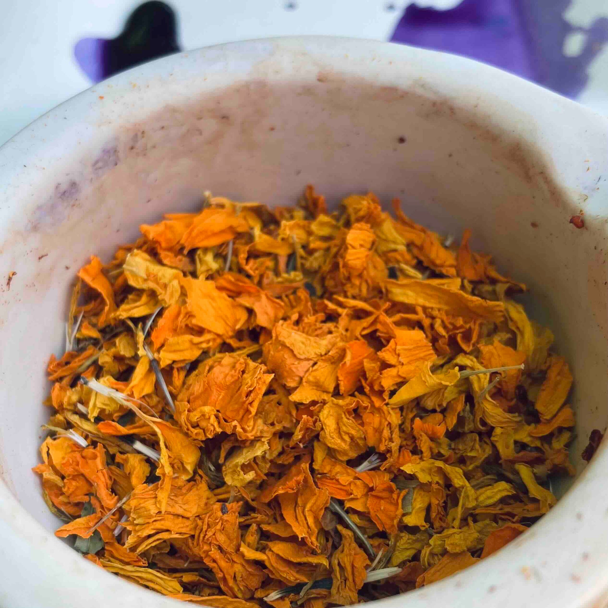 Tagetesblüten aus dem sevengardens® Starter Set