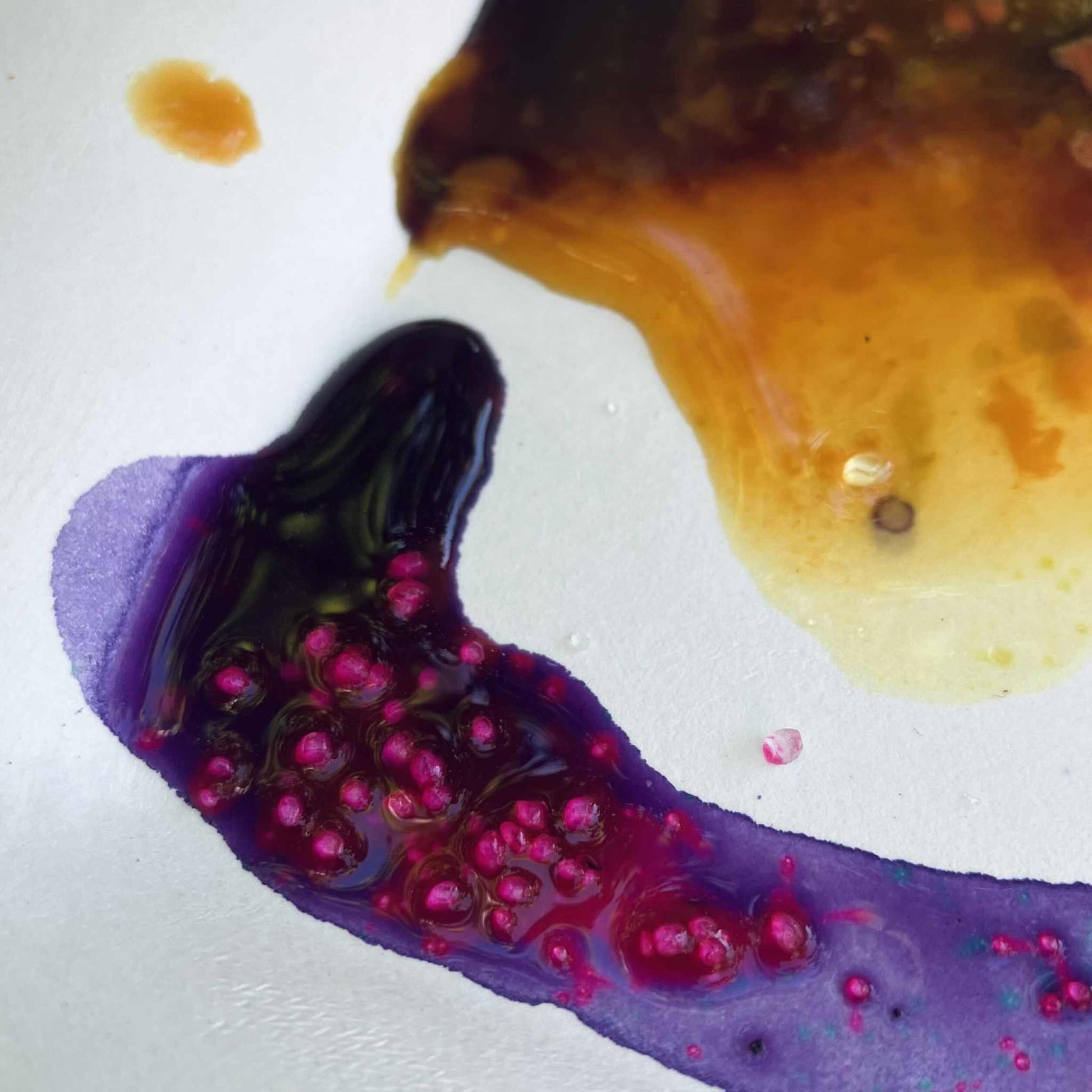 Detailaufnahme Pflanzenfarben aus dem sevengardens® Starter Set