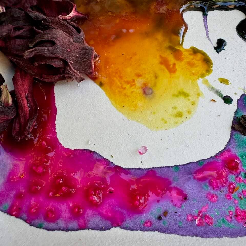 Starter-Set für Pflanzenfarben