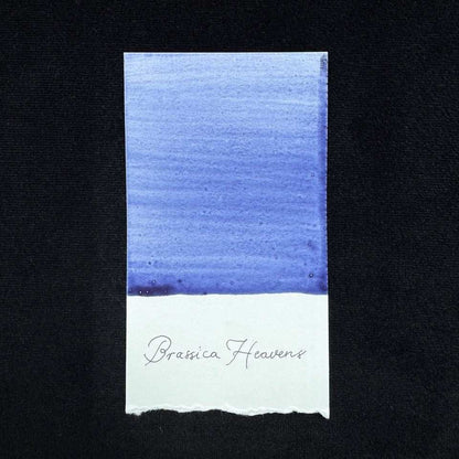Brassica Heavens Farbtest - Teststreifen der natürlichen Kohlpflanzen-Tinte
