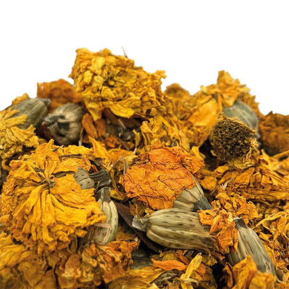 Tagetes waschecht für Textilien nachhaltige Naturfärberei