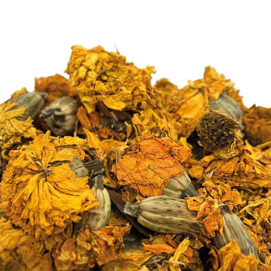 Tagetes waschecht für Textilien nachhaltige Naturfärberei