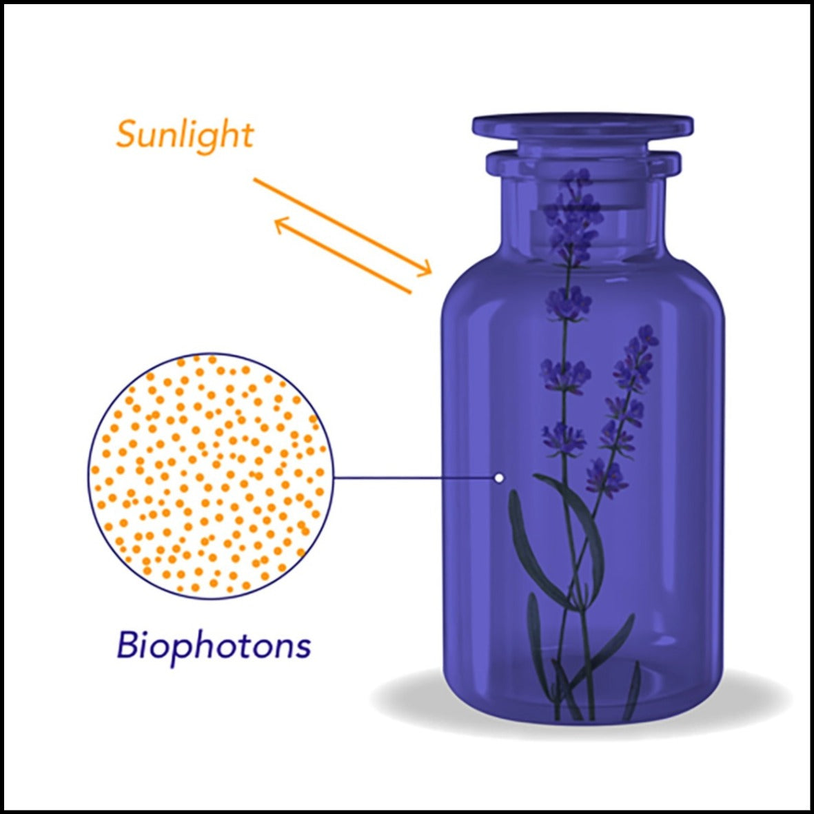 Mironglas Violettglas Merkmale - UV-Schutz und Lichtfiltration"