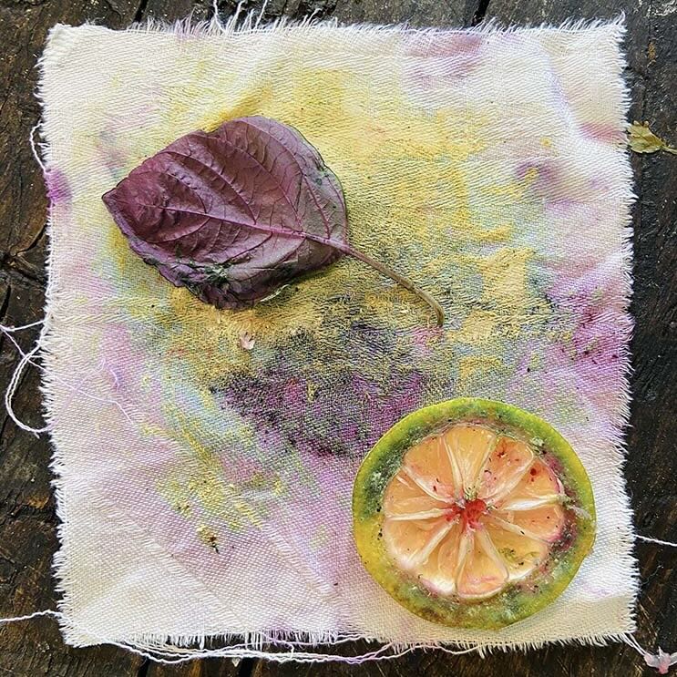 sevengardens Dialoger Ausbildung – Weiterbildung Pflanzenfarbstoffe