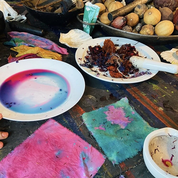 Erste Schritte mit Pflanzenfarben – Einführung in natürliche Färbemethoden