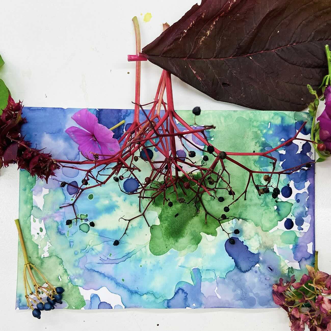 sevengardens Pflanzenfarbstoffe in der Kunsttherapie